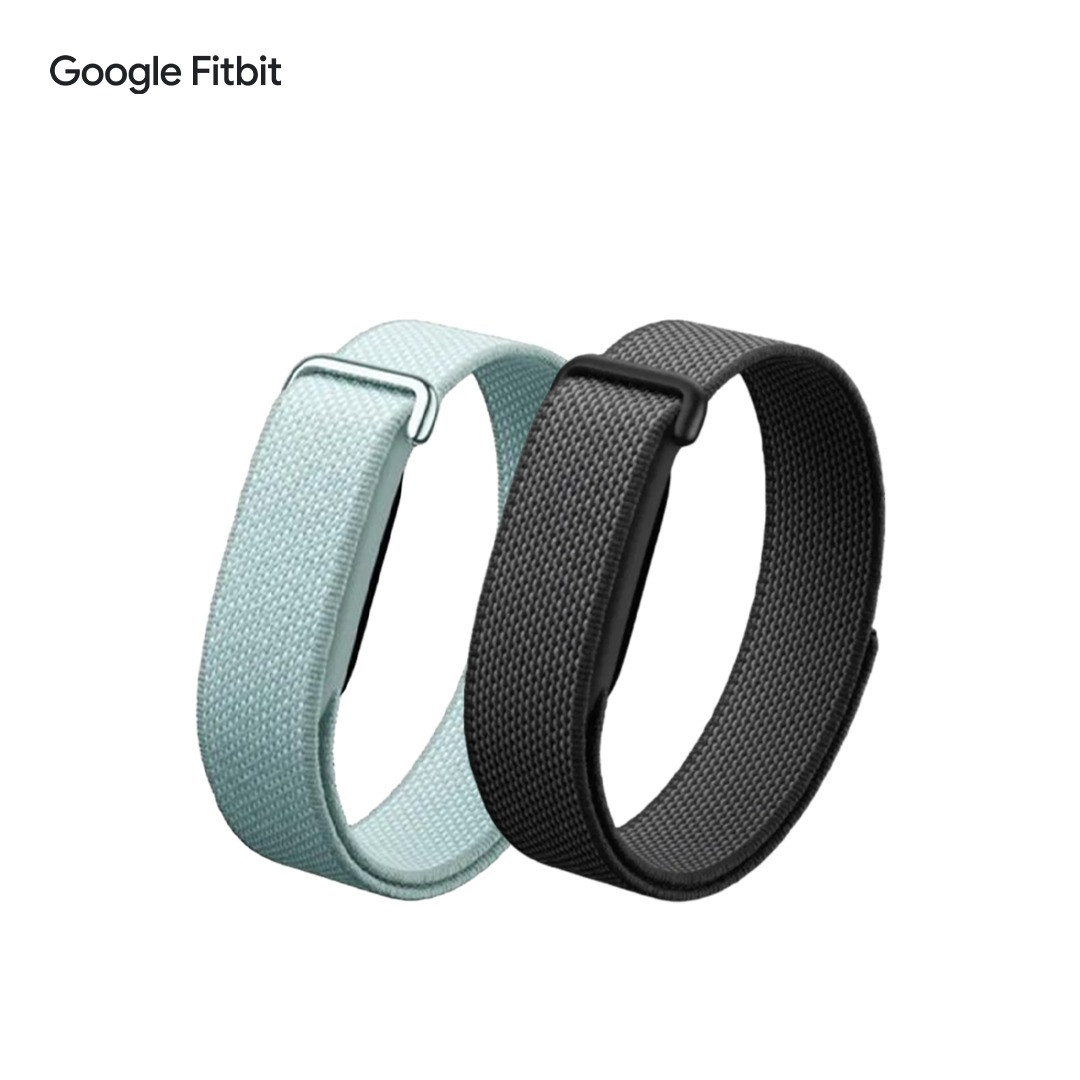 Google Fitbit Air